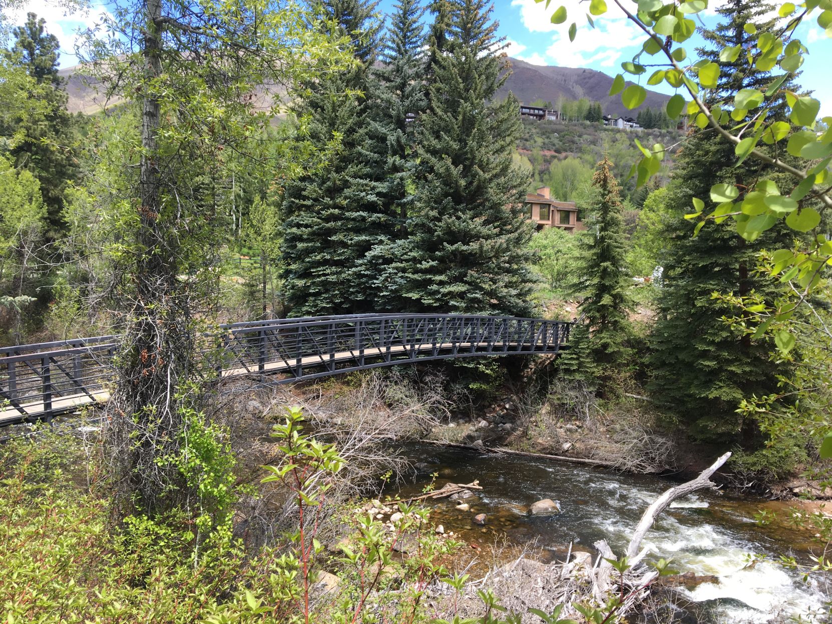 Bridge